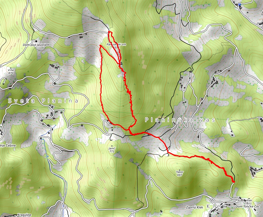 Slika je vidna v Google Chromu.