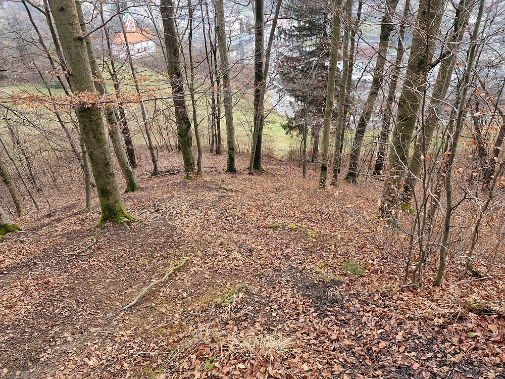 Slika je vidna v Google Chromu.