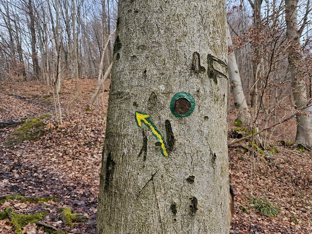 Slika je vidna v Google Chromu.