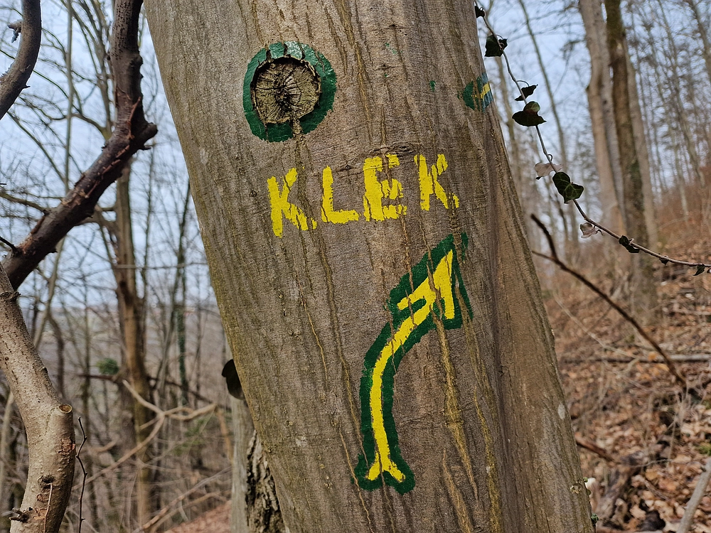 Slika je vidna v Google Chromu.