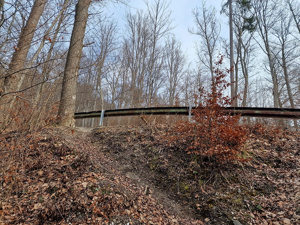 Slika je vidna v Google Chromu.