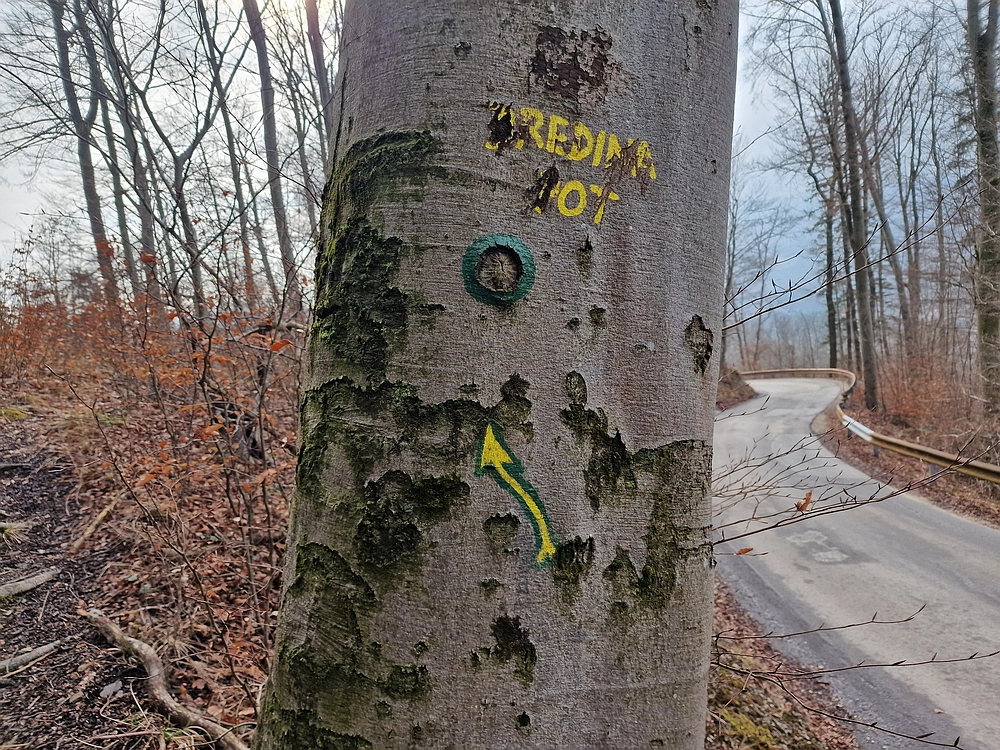 Slika je vidna v Google Chromu.