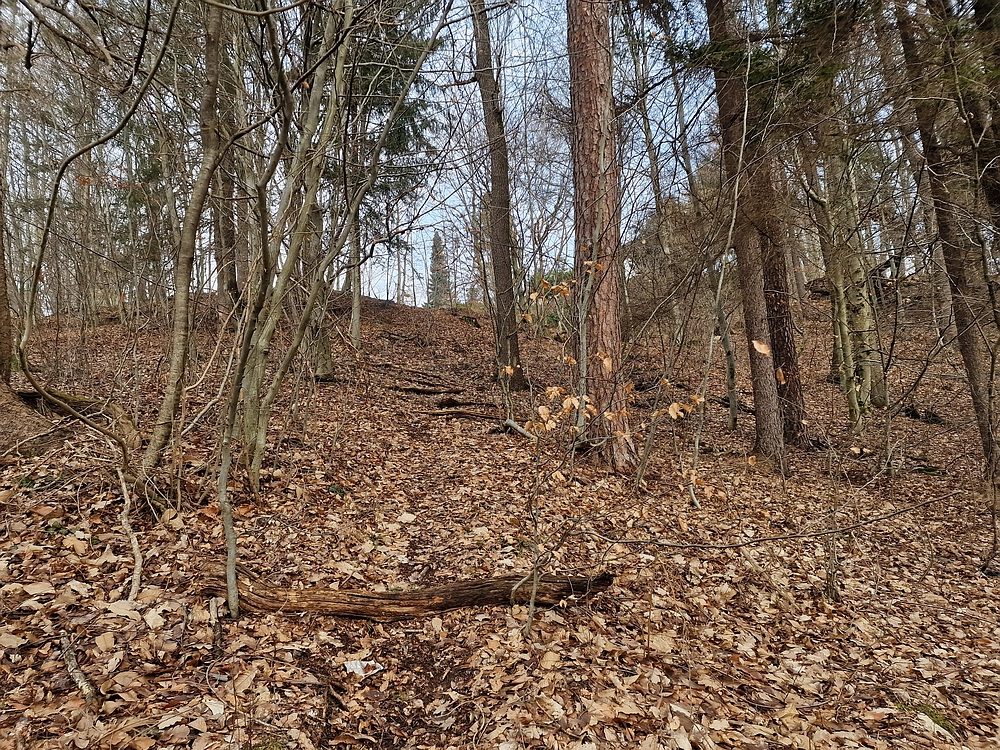 Slika je vidna v Google Chromu.