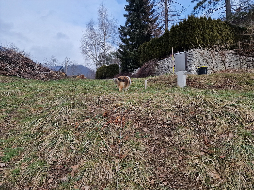 Slika je vidna v Google Chromu.