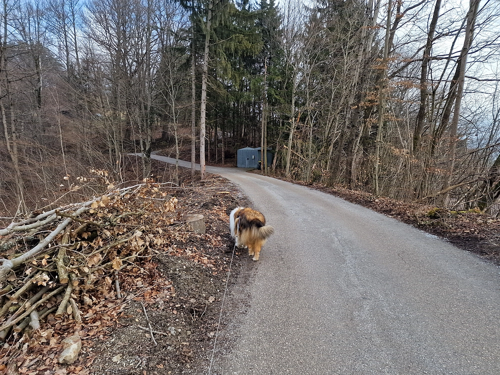 Slika je vidna v Google Chromu.