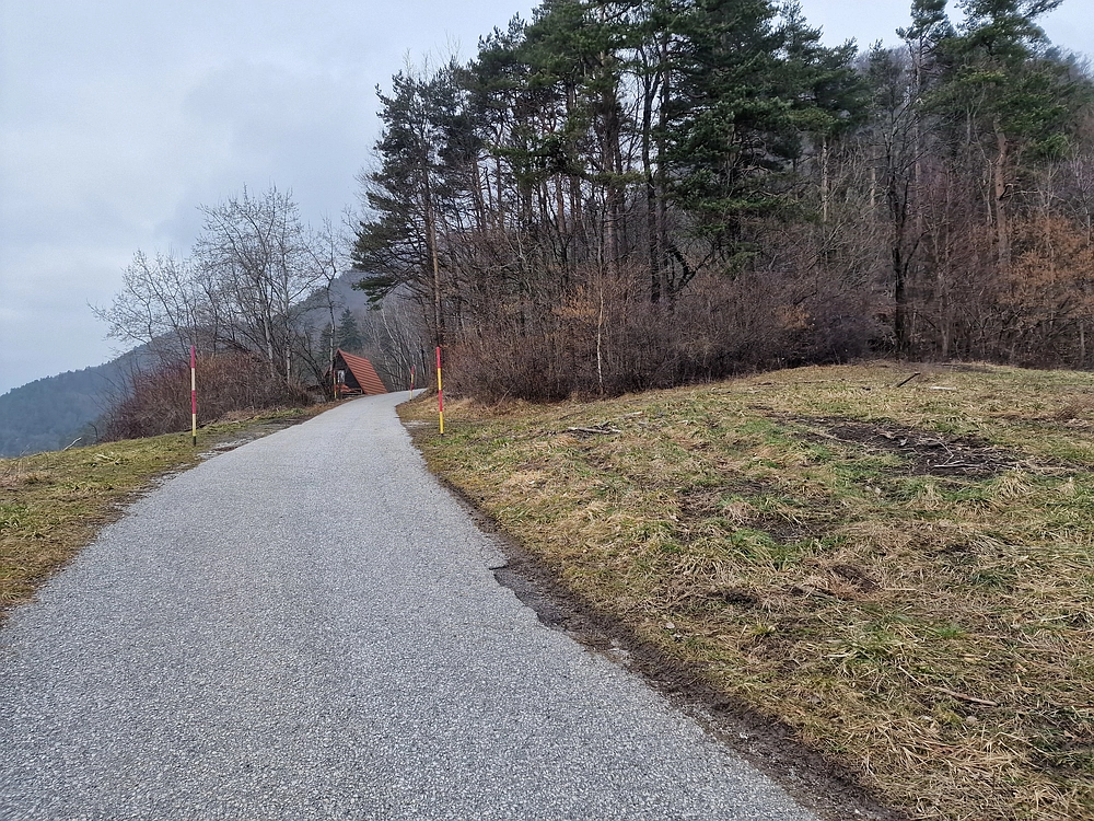 Slika je vidna v Google Chromu.