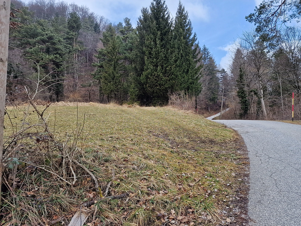 Slika je vidna v Google Chromu.