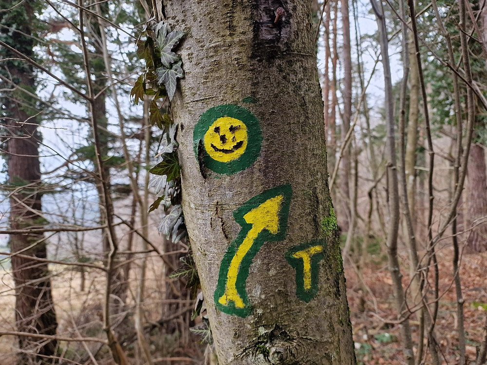 Slika je vidna v Google Chromu.