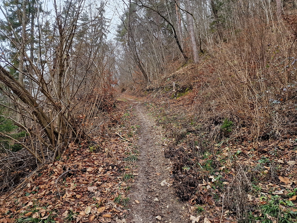 Slika je vidna v Google Chromu.