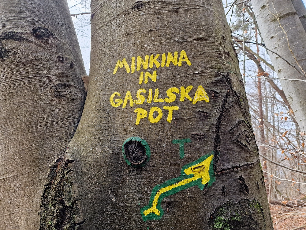 Slika je vidna v Google Chromu.