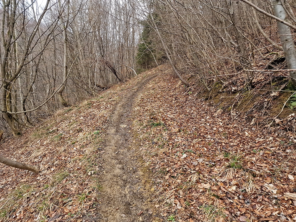 Slika je vidna v Google Chromu.