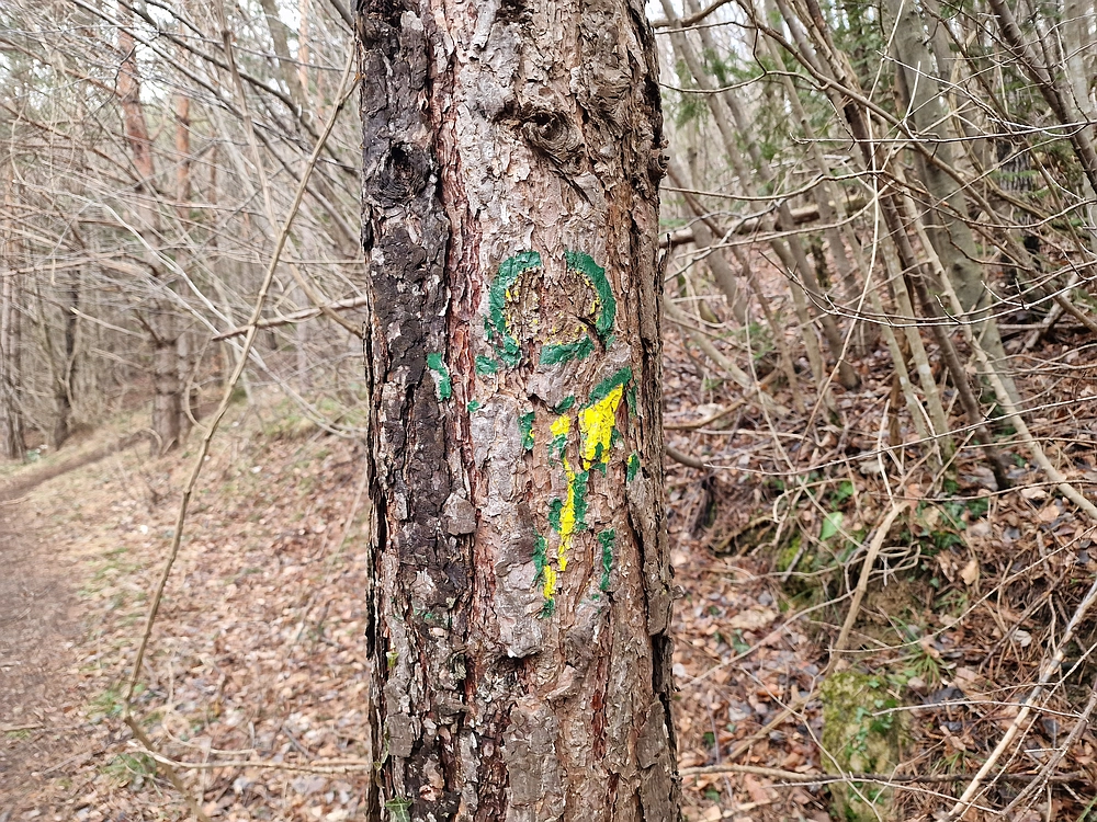 Slika je vidna v Google Chromu.