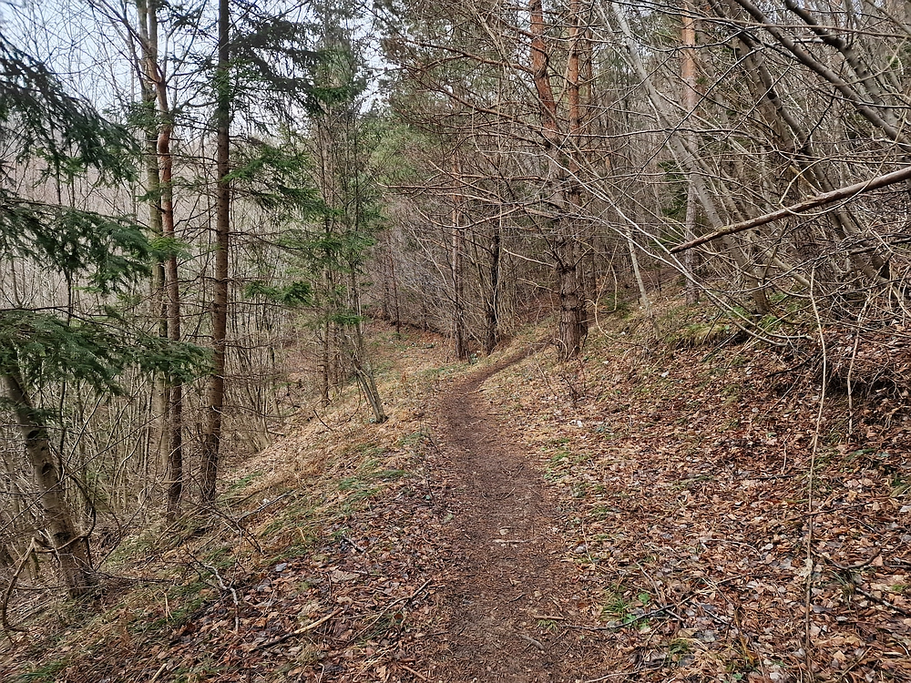 Slika je vidna v Google Chromu.