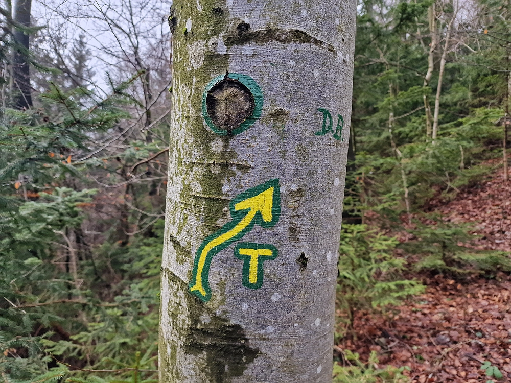 Slika je vidna v Google Chromu.