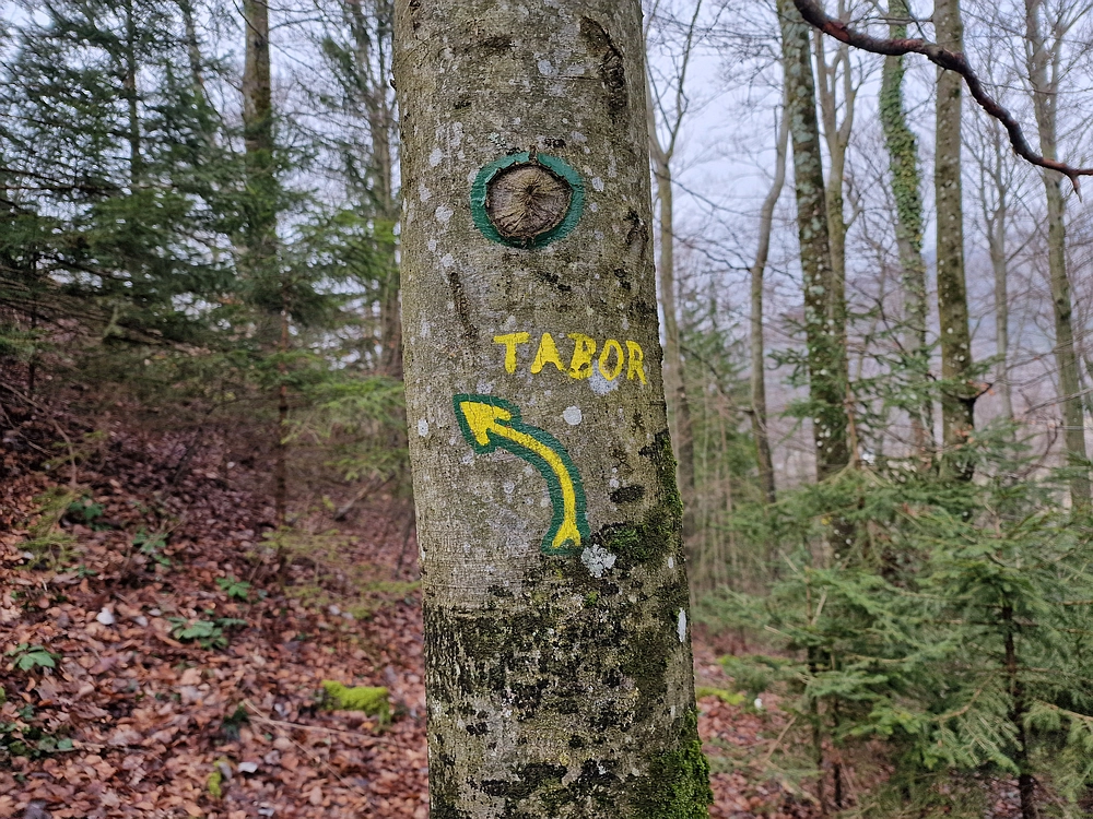 Slika je vidna v Google Chromu.