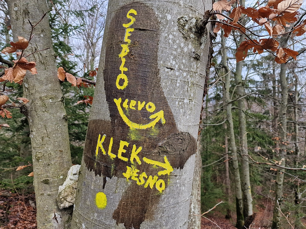 Slika je vidna v Google Chromu.