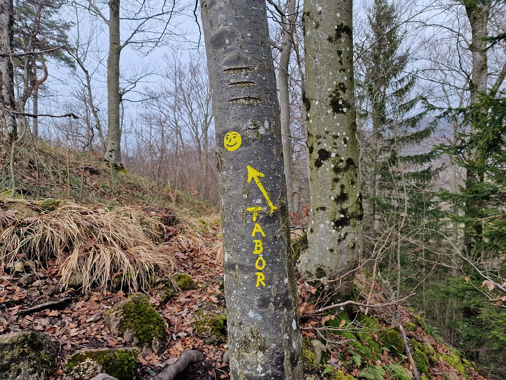 Slika je vidna v Google Chromu.