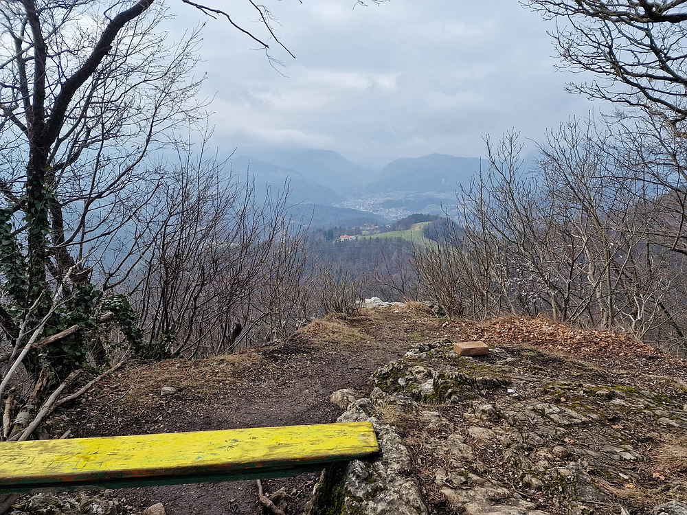 Slika je vidna v Google Chromu.