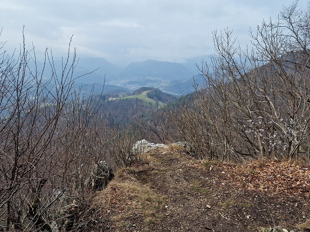 Slika je vidna v Google Chromu.
