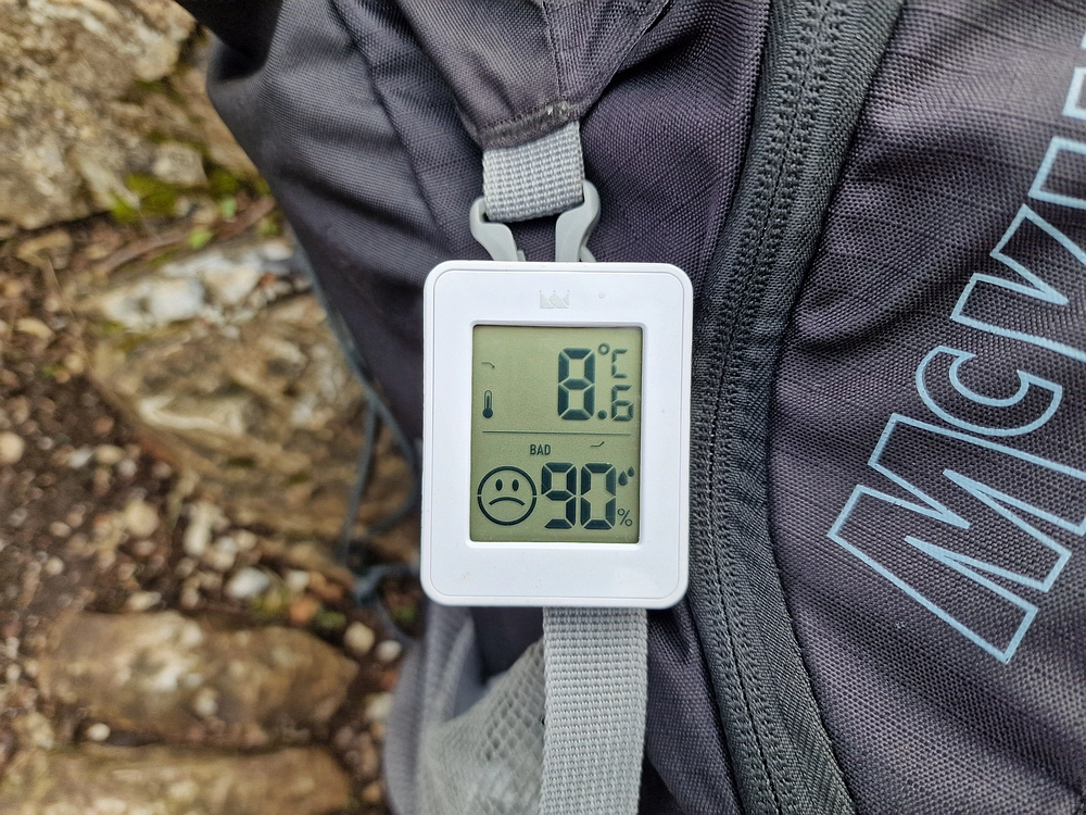 Slika je vidna v Google Chromu.