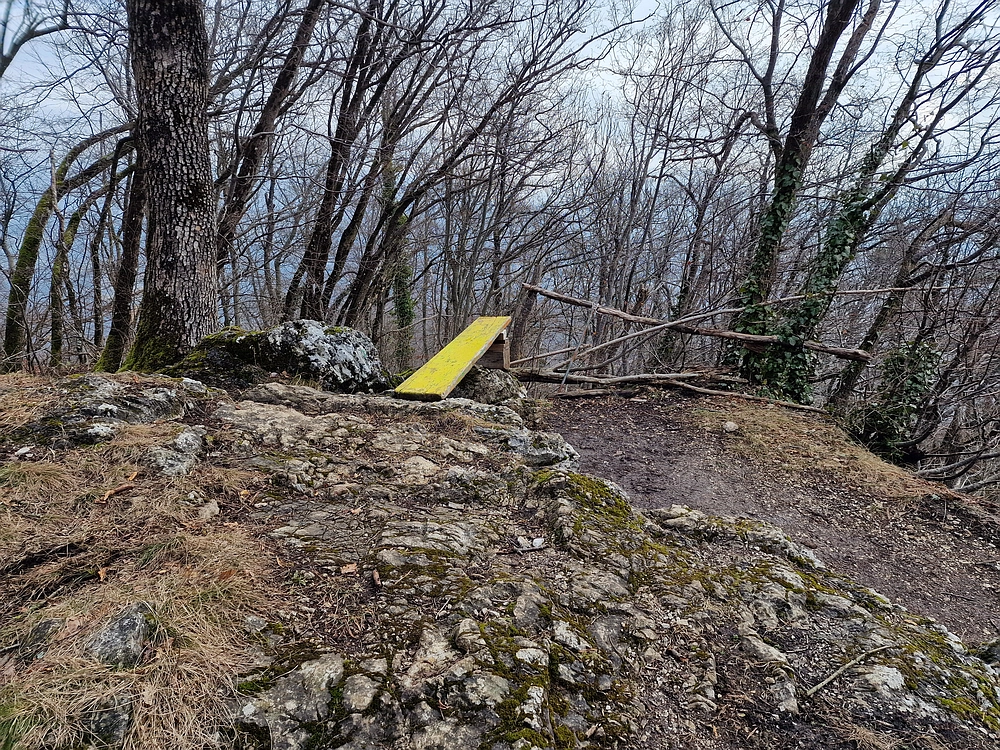 Slika je vidna v Google Chromu.