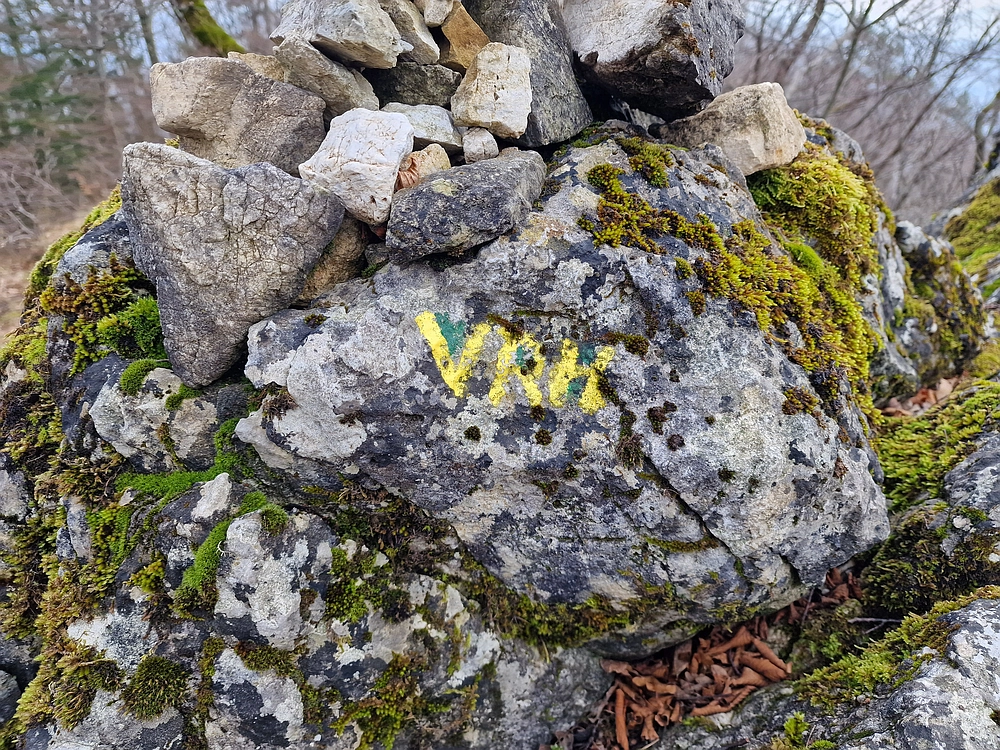 Slika je vidna v Google Chromu.