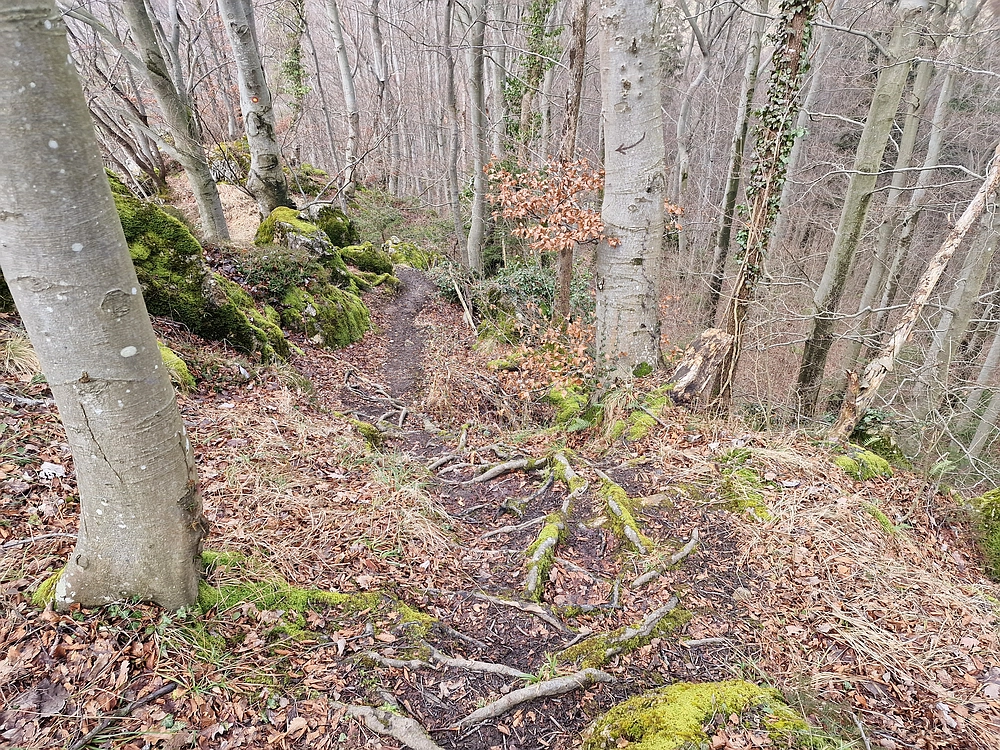 Slika je vidna v Google Chromu.