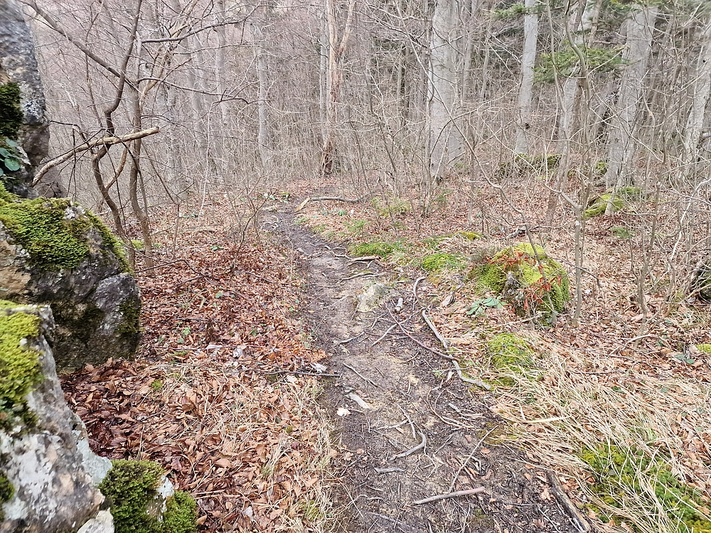 Slika je vidna v Google Chromu.