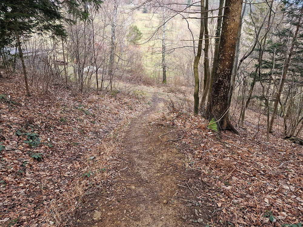 Slika je vidna v Google Chromu.