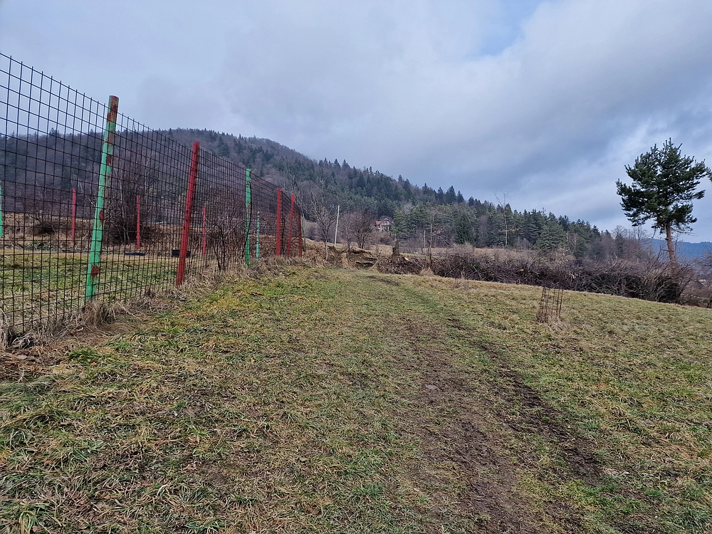 Slika je vidna v Google Chromu.