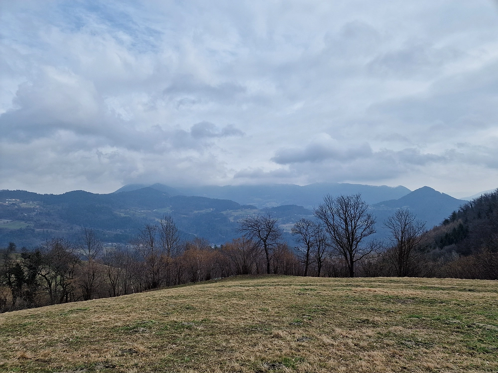 Slika je vidna v Google Chromu.