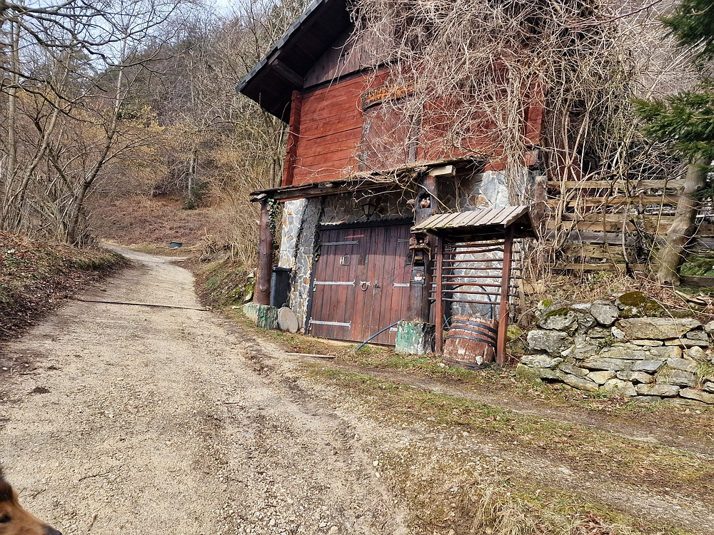 Slika je vidna v Google Chromu.