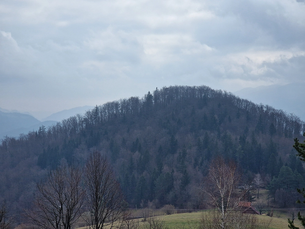 Slika je vidna v Google Chromu.