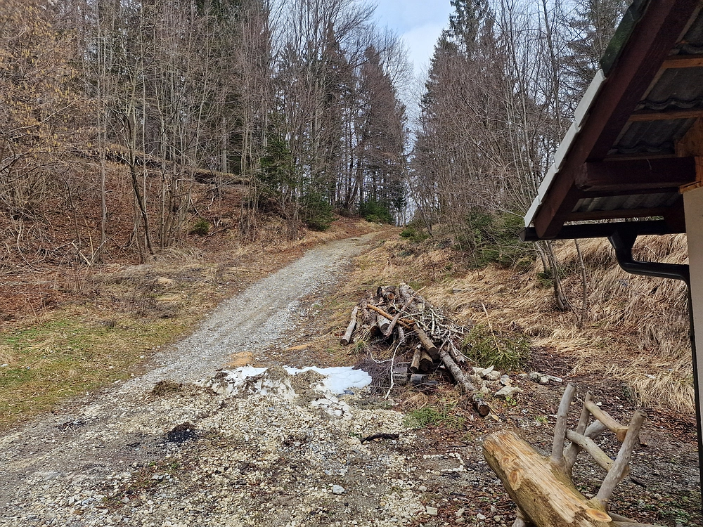 Slika je vidna v Google Chromu.