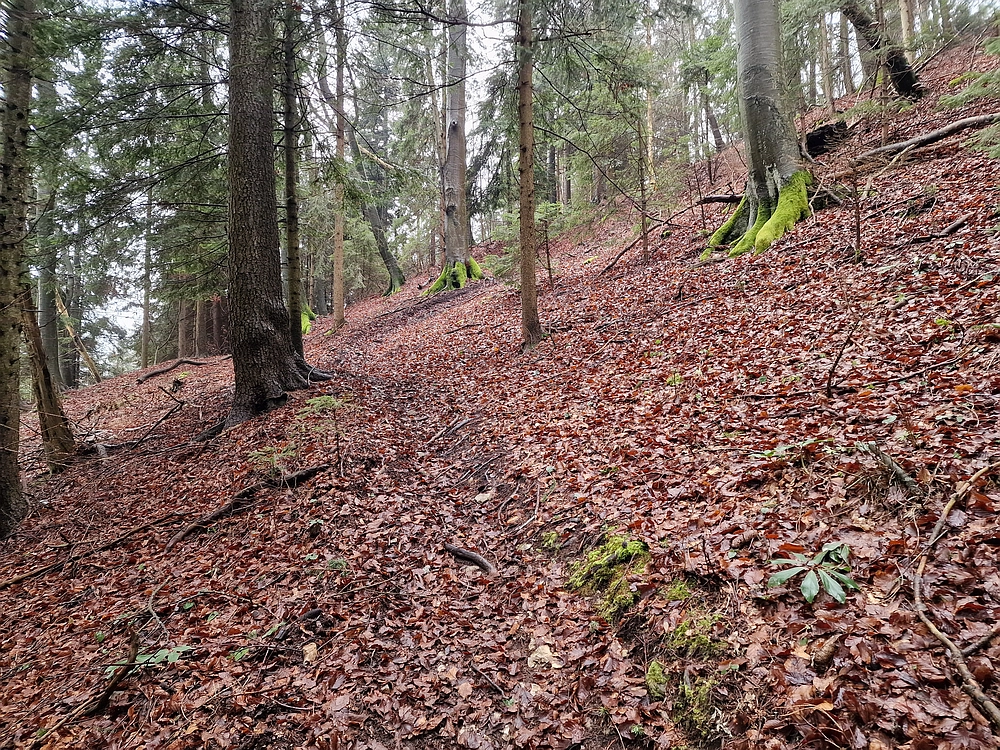 Slika je vidna v Google Chromu.