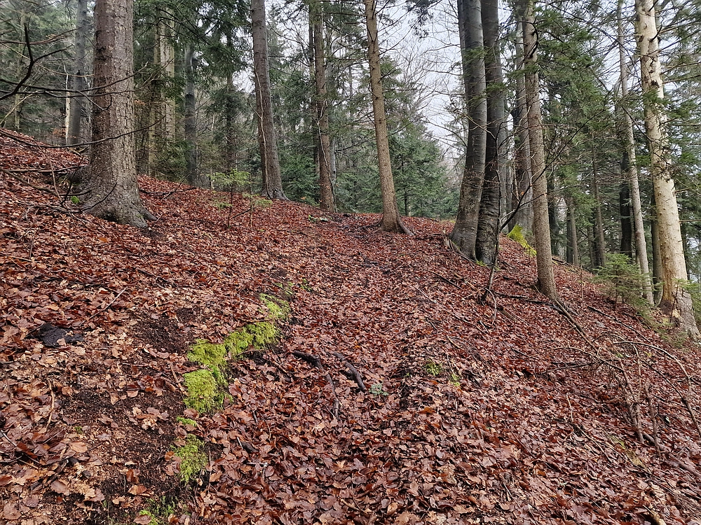 Slika je vidna v Google Chromu.