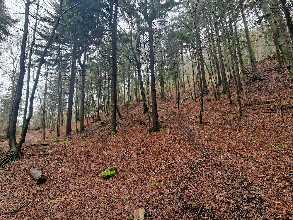 Slika je vidna v Google Chromu.