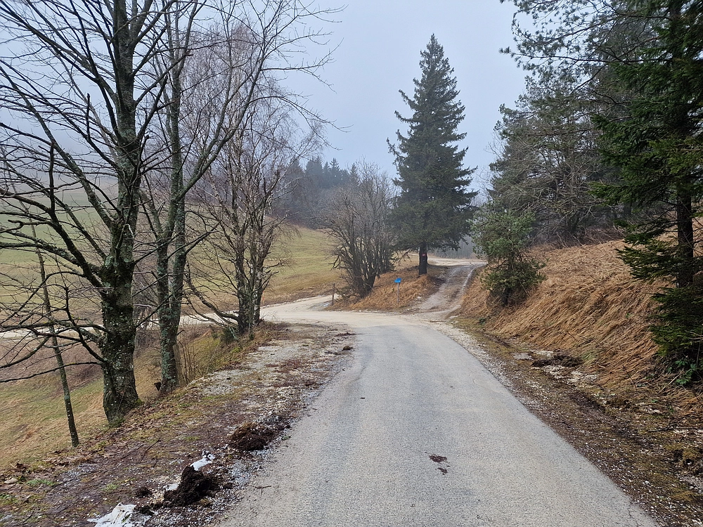 Slika je vidna v Google Chromu.