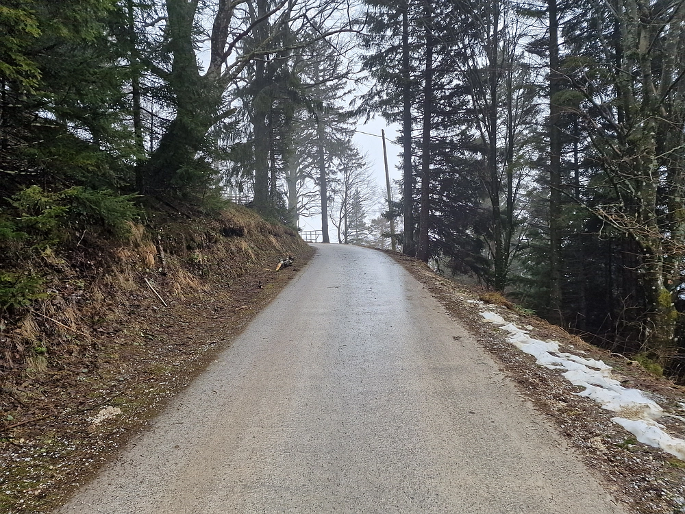 Slika je vidna v Google Chromu.