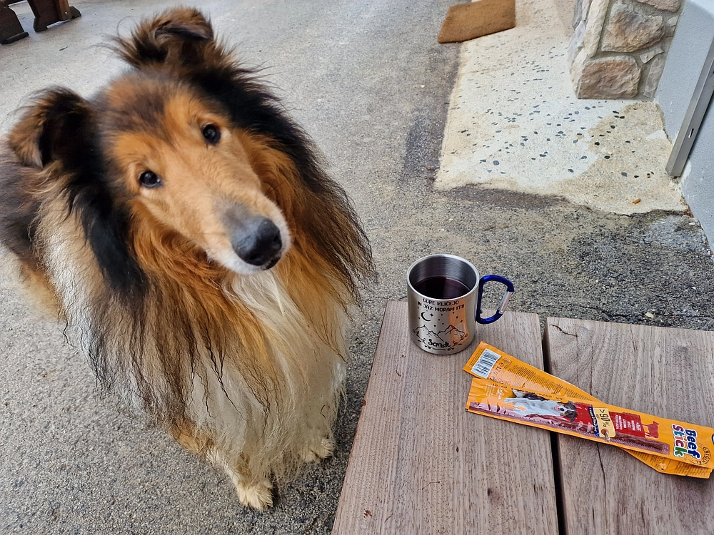 Slika je vidna v Google Chromu.