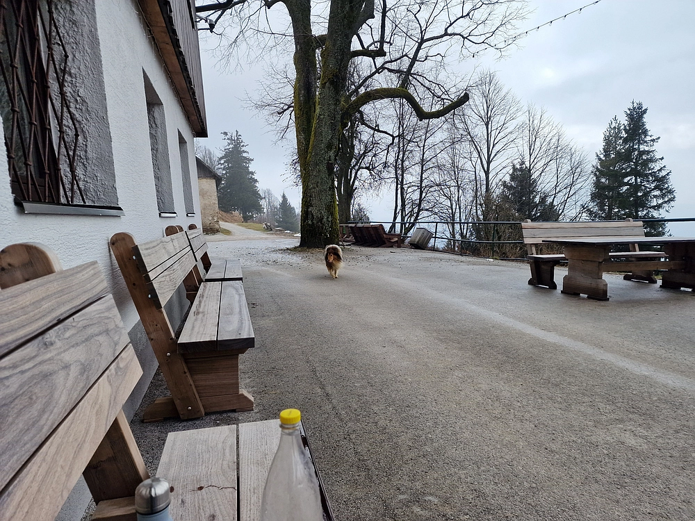 Slika je vidna v Google Chromu.