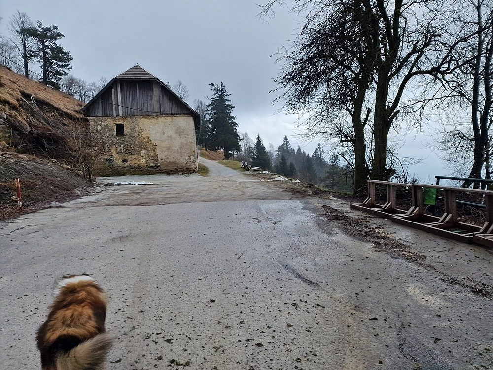 Slika je vidna v Google Chromu.