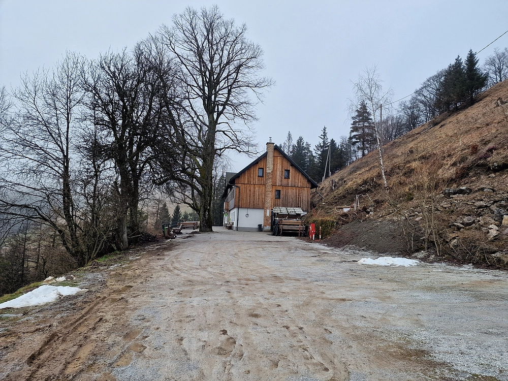 Slika je vidna v Google Chromu.
