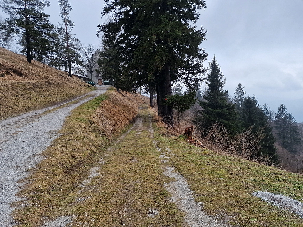 Slika je vidna v Google Chromu.