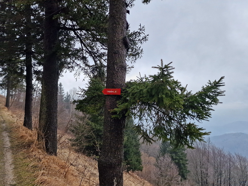 Slika je vidna v Google Chromu.