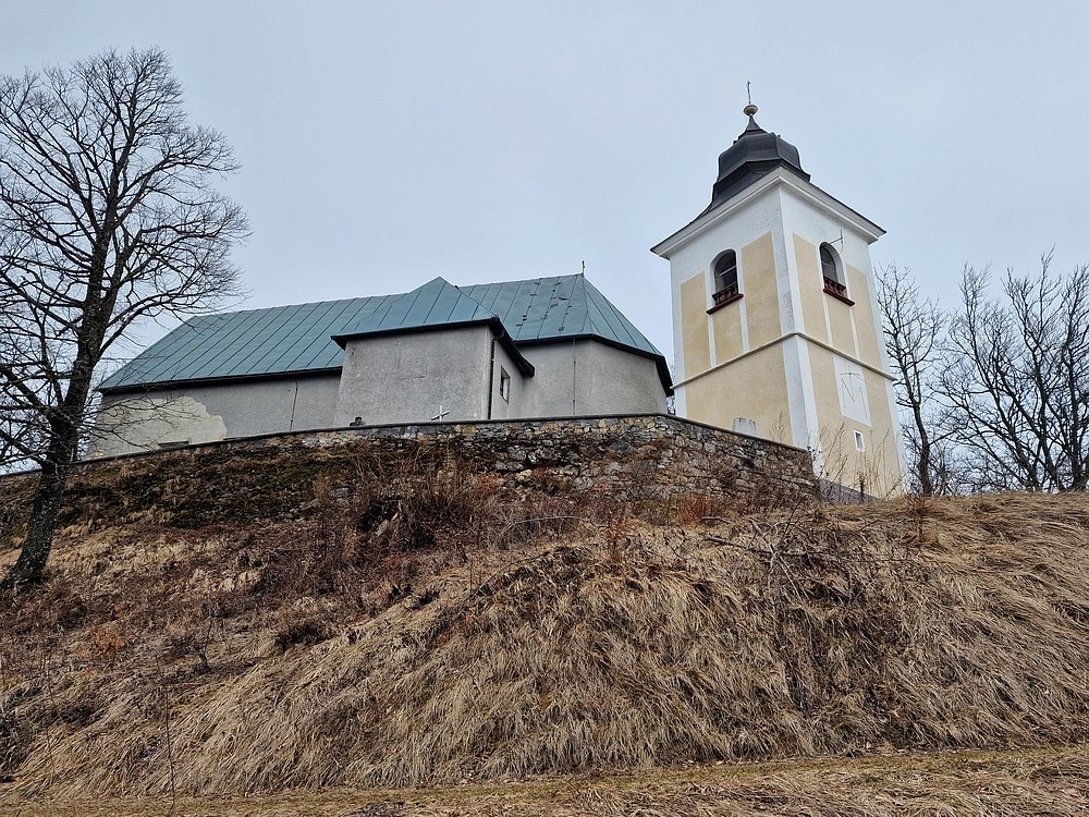 Slika je vidna v Google Chromu.