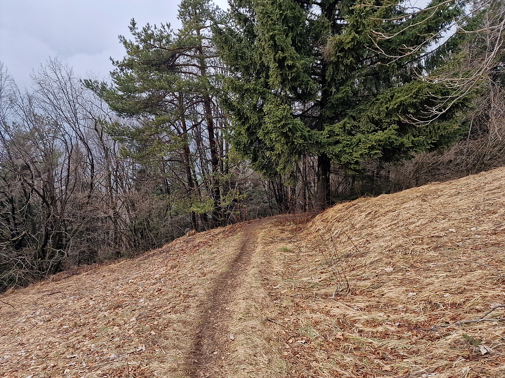 Slika je vidna v Google Chromu.