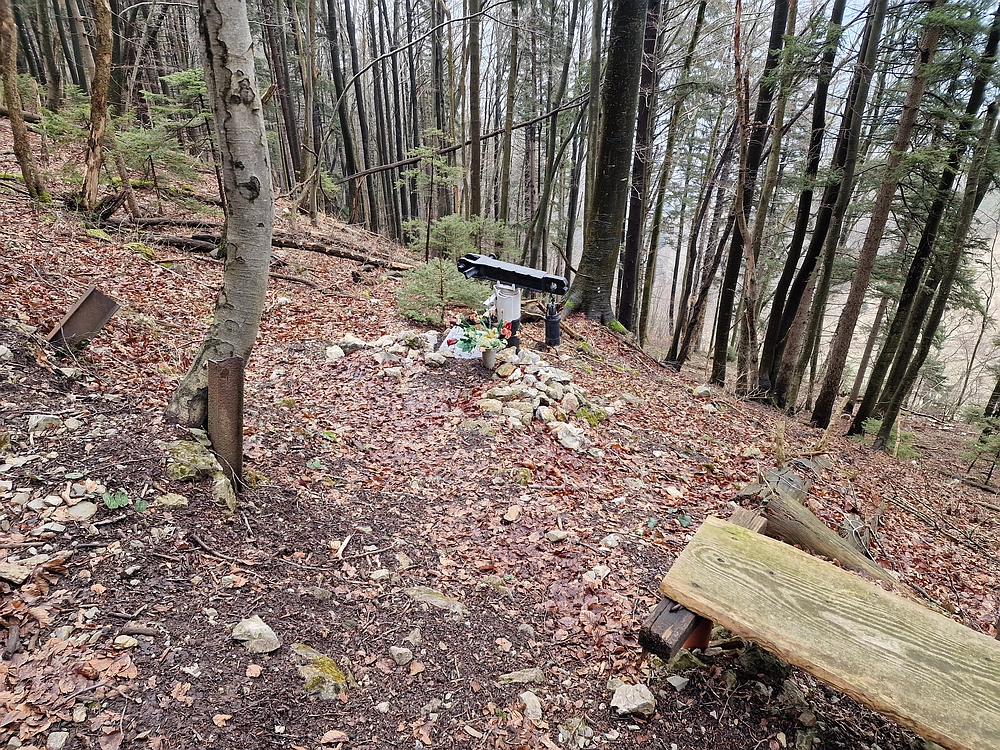 Slika je vidna v Google Chromu.