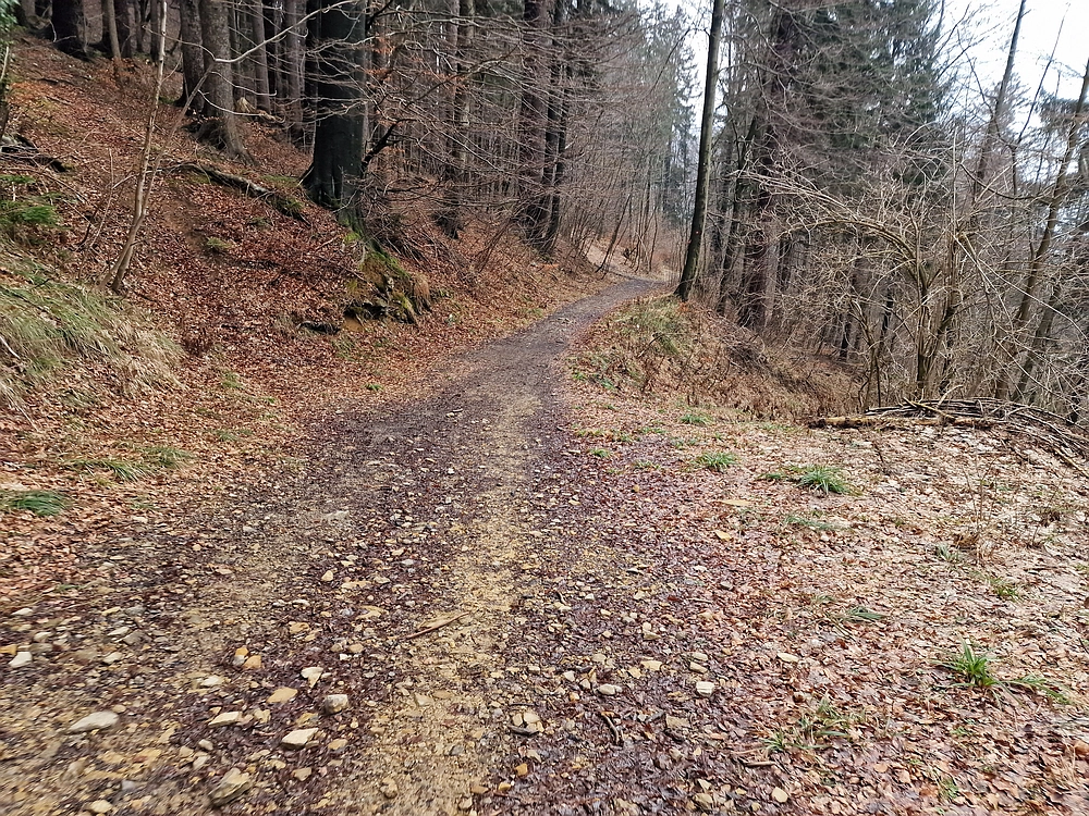 Slika je vidna v Google Chromu.