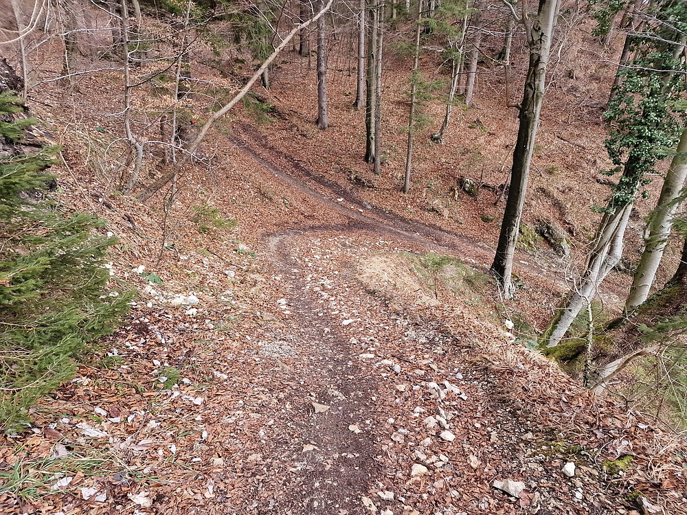 Slika je vidna v Google Chromu.